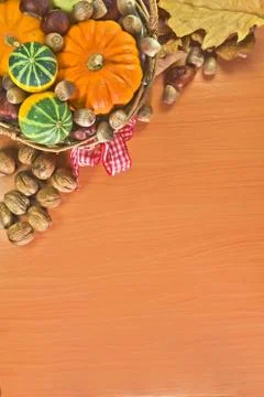 Autumn vegetable background Stock Photos