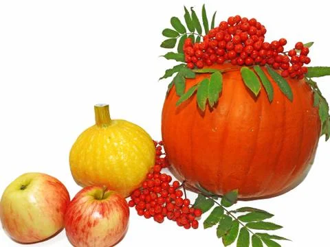 Autumn vegetable composition. Stock Photos