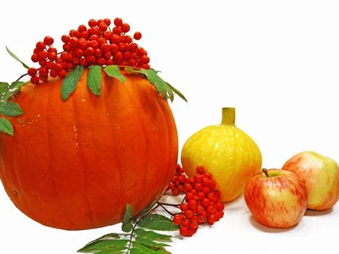 Autumn vegetable composition. Stock Photos