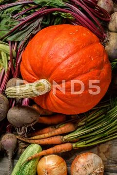 Autumn vegetables background Stock Photos