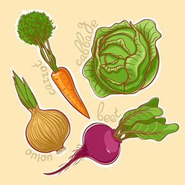 Autumn vegetables Stock Illustration