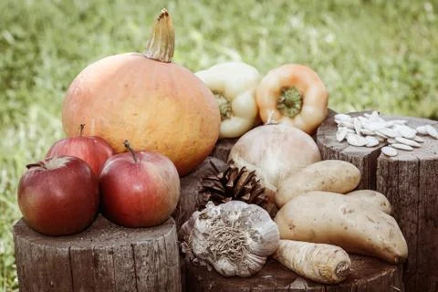 Autumn vegetables Stock Photos