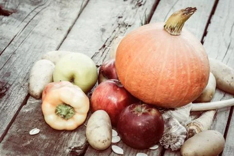 Autumn vegetables Stock Photos
