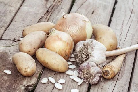 Autumn vegetables Stock Photos