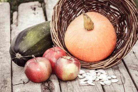 Autumn vegetables Stock Photos