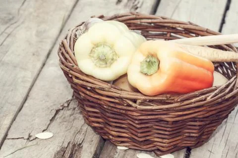 Autumn vegetables Stock Photos