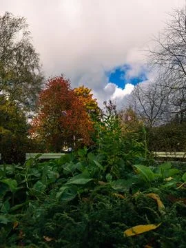 Autumn Vegetation Beneath Dramatic Clouds and Blue Sky Stock Photos