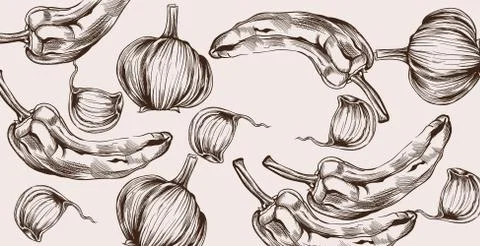 Autumn veggies pattern Vector line art. Pepper and onion harvest Stock Illustration