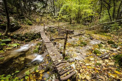 Autumn vibes Stock Photos