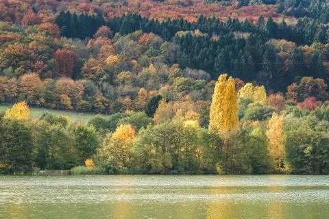 Autumn vibrations Stock Photos