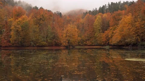 Autumn View 4K Timelapse Stock Footage 44270206