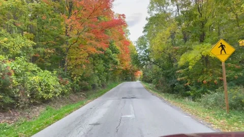 Autumn view along remote road Stock Footage 218326844