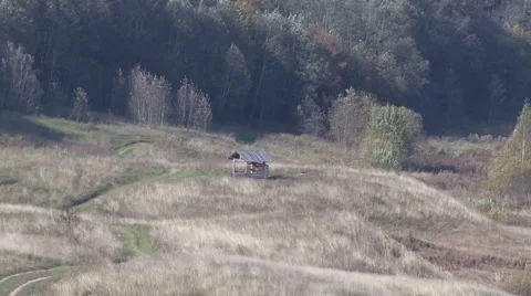 Autumn view from the birch. Stock Footage 44083901