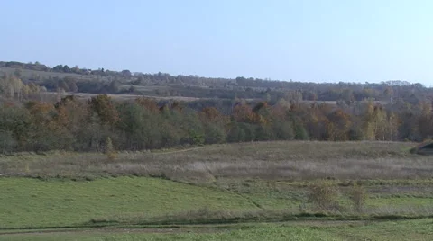 Autumn view from the birch. Stock Footage 44085310