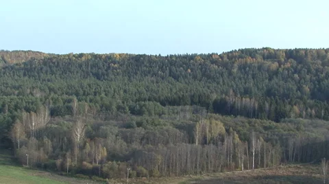 Autumn view from the birch. Stock Footage 44091387