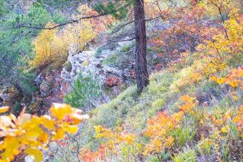 Autumn view from the Eagle Rocks Stock Photos