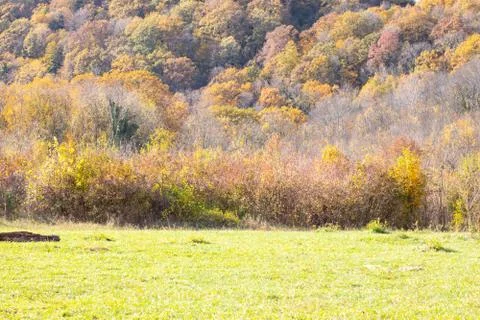 Autumn view from the Eagle Rocks Stock Photos