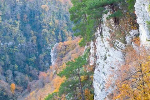 Autumn view from the Eagle Rocks, Stock Photos