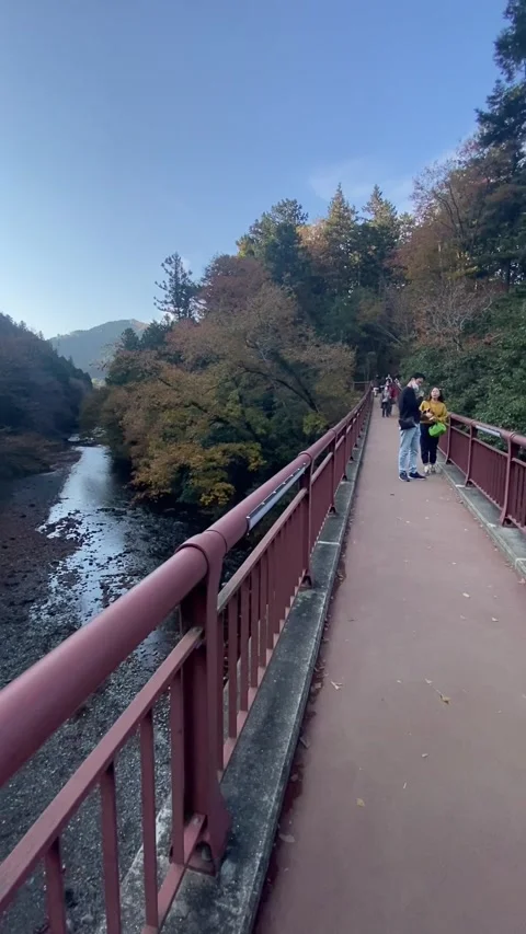 Autumn view Stockbeeldmateriaal 242910242