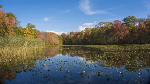 Autumn view on lake 4k Stock Footage 83327613