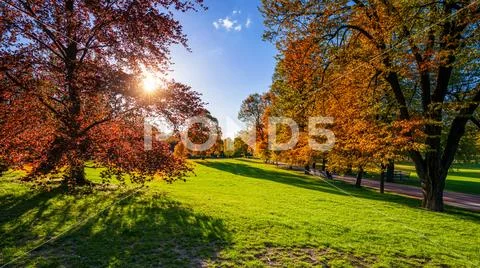 Autumn view in Letna Park, Prague, Czech Republic. Autumn in Prague (Praha), Stock Photos