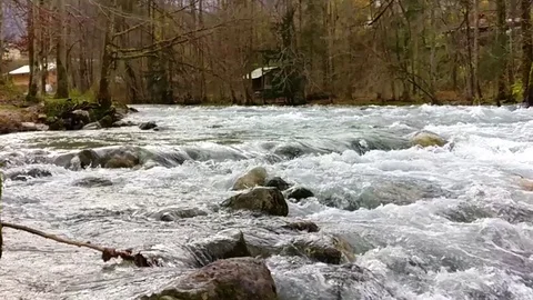 Autumn view of mountain river Stock Footage 95412498