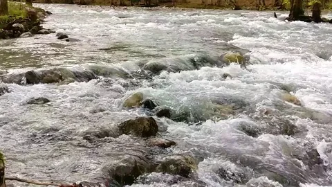 Autumn view of mountain river Stock Footage 95569377