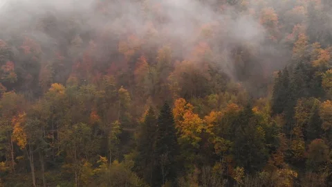 Autumn view of mountain road through the forest, in Slovenia Stock Footage 119202964