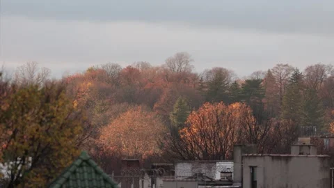 Autumn view over the cityscape Stock Footage 294862193