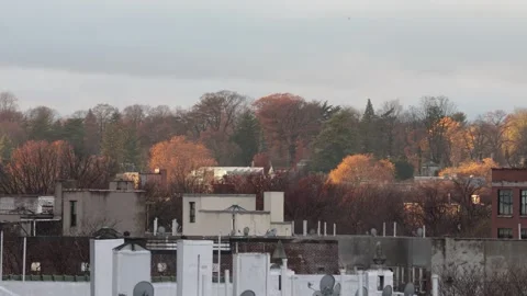Autumn view over the cityscape Stock Footage 294862202