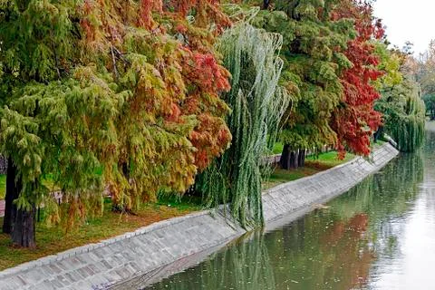 Autumn view Stock Photos