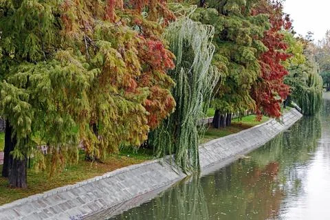 Autumn view Stock Photos