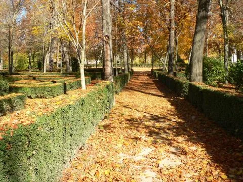 Autumn view Stock Photos
