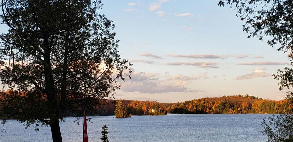 The autumn view Stock Photos
