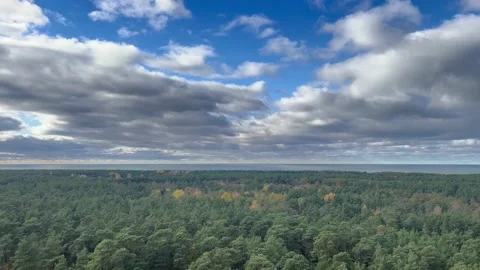 Autumn view of a pine forest with cloudy skies over the sea Stock Footage 219552024