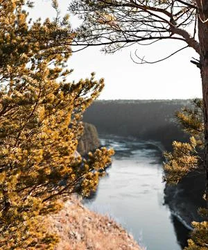 Autumn view of river with cliffs in dry grass coniferous forest landscape Stock Photos