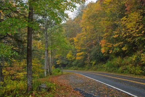 Autumn view roadside Stock Photos