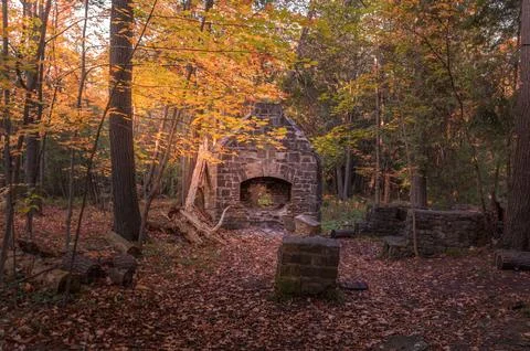 Autumn view of a small opening in a dense forest with green, yellow, red, a.. Foto stock