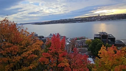 Autumn View of St. Lawrence River in Quebec City Stock Footage 321329515