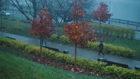 Autumn views Stock Footage 167238866