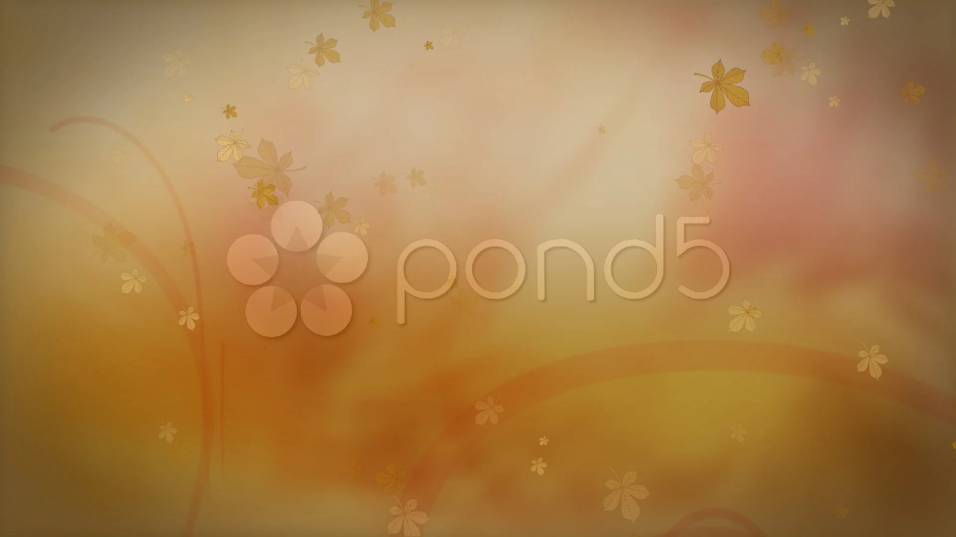 autumn vine background hd | Stock Video | Pond5