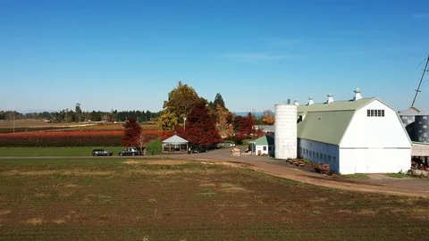 Autumn Visit to the Farm 库存影片 82330793