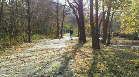 Autumn Walk for Exercise Stock Footage 43804494