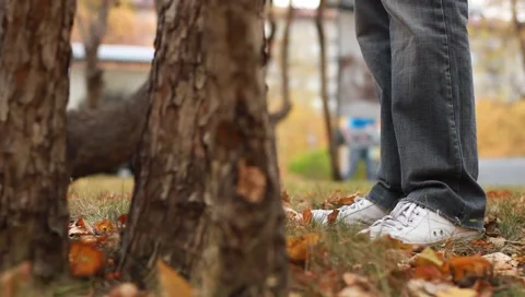 Autumn walk Stock Footage 1673261