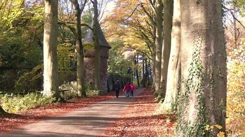 Autumn walk. Stock Footage 32681108