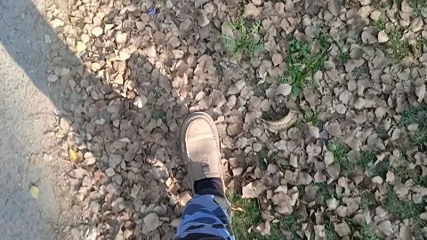 Autumn walk Video stock 148019582