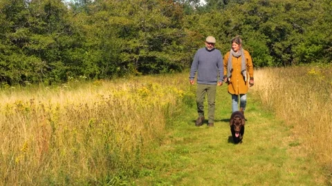 An autumn walk Stock Footage 159724924
