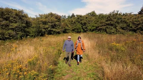 An autumn walk Stock Footage 159725032