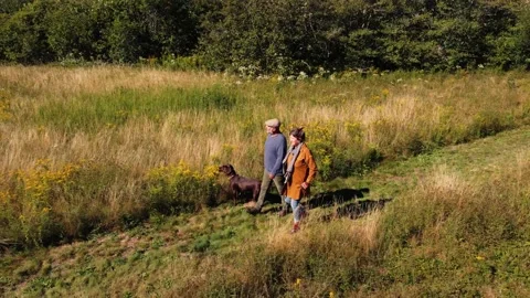 An autumn walk Stock Footage 159725184