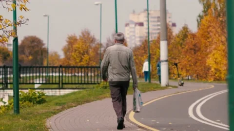 Autumn Walk Video stock 221178707
